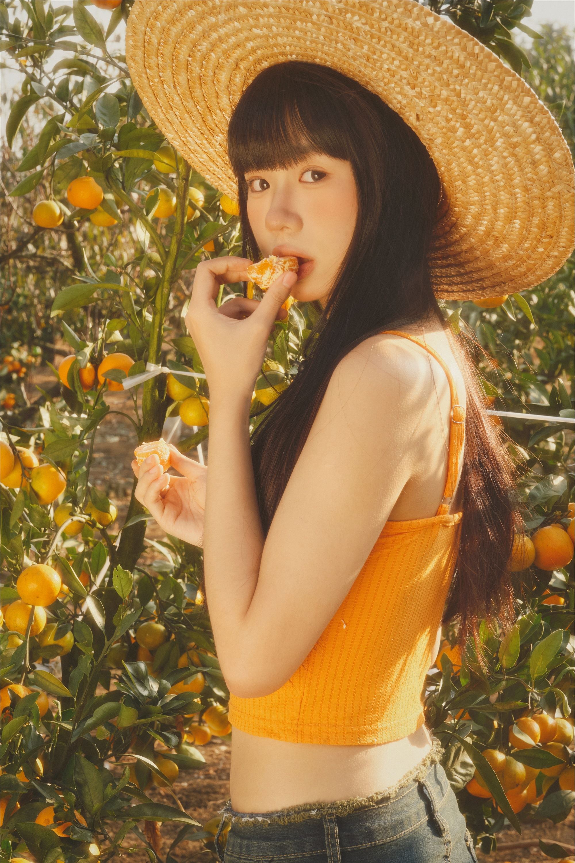 YITUYU艺图语 2025.01.26 橘子园 是三金呀